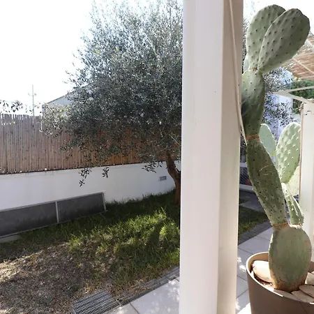 Casa Lu Ientu 아파트