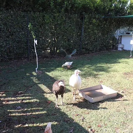 Casa Lu Ientu 아파트 오트란토