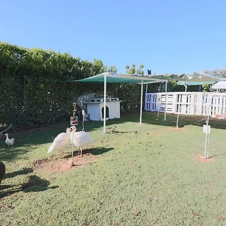 Casa Lu Ientu 아파트 *